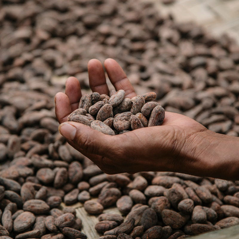We use fermented cacao beans sourced from The Philippines for a rich, bittersweet flavour.
